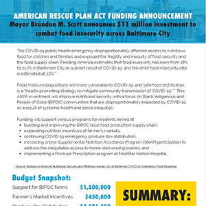 Cropped screenshot of the ARP Funding Announcement PDF for food insecurity.  Text is so small as to be illegible.